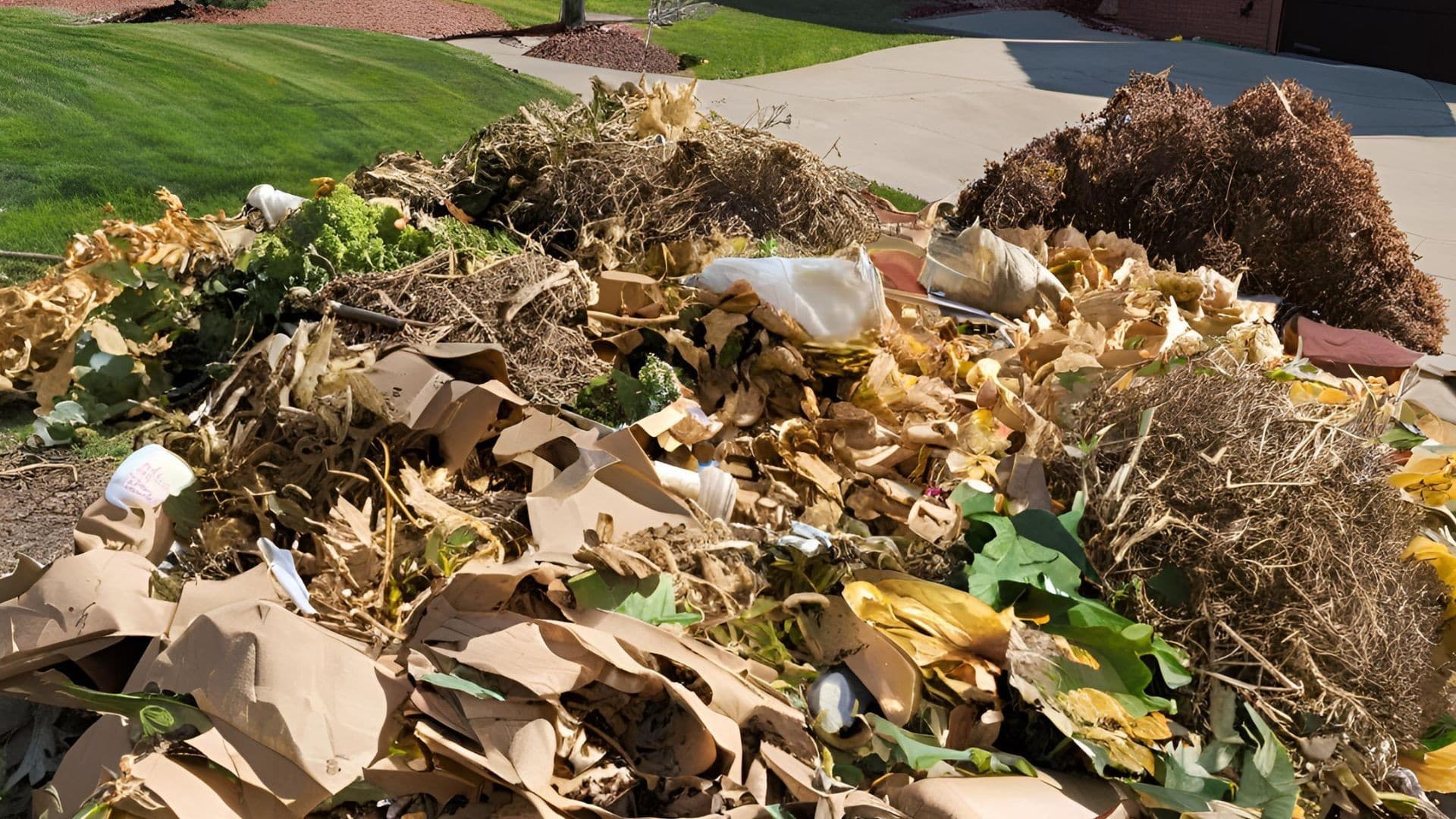 Commercial Yard Waste Removal