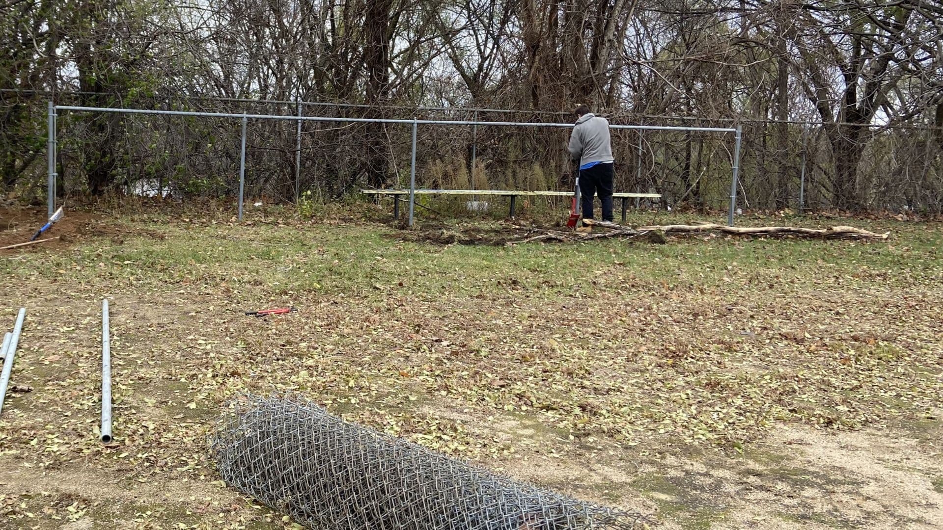 Fence Removal