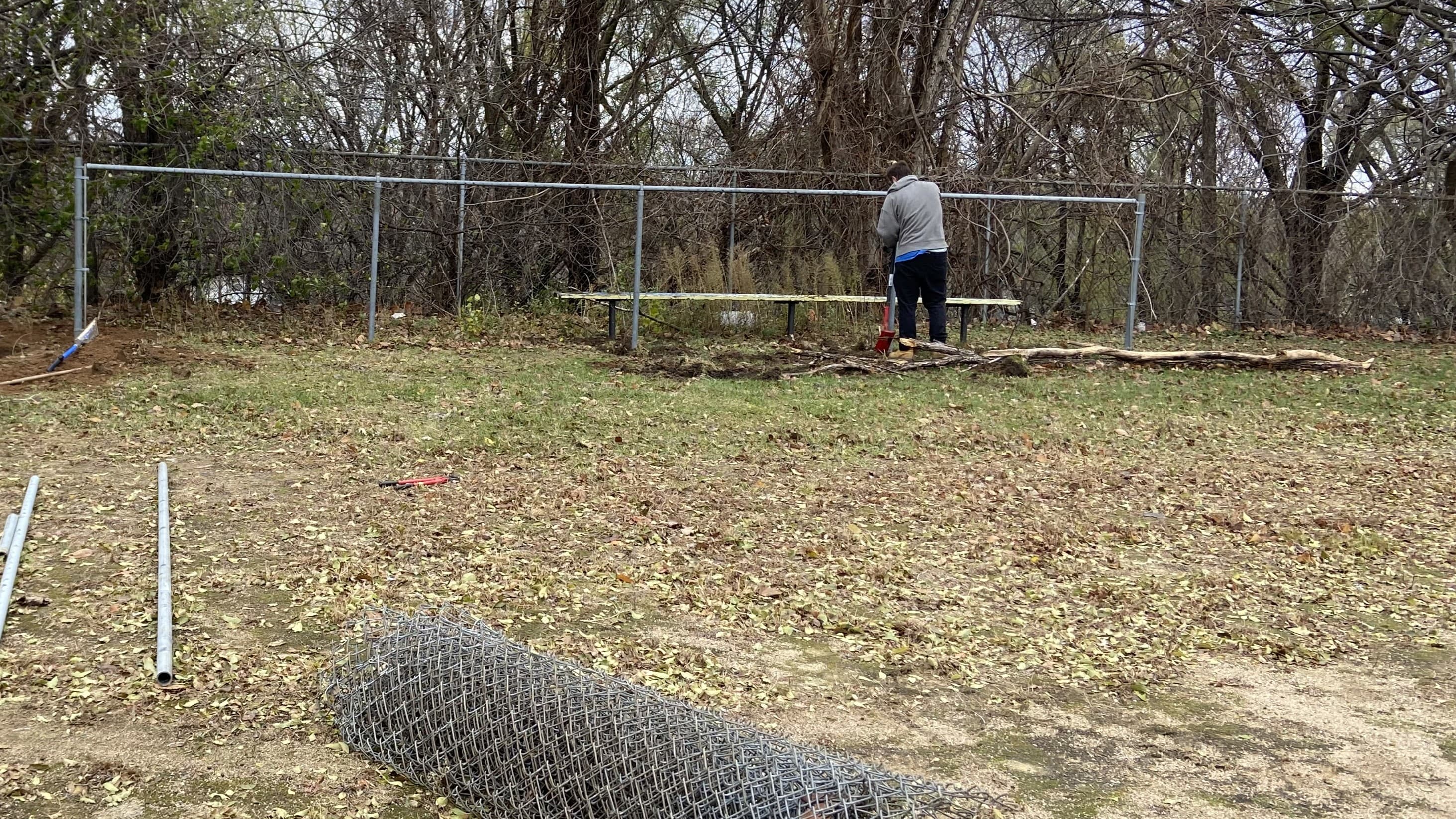 Fence Removal